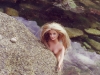 barbierocher