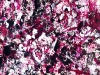 catharsis2site