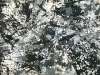 catharsis4site