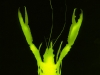 j0183_0