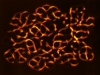 j149