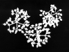 a0046