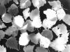 b005