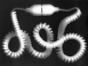 b069