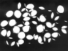 d0234