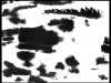 h074