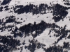 villars