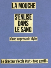 17-mouche-surprenante-idylle
