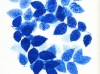 composition-feuilles-bleue1