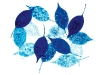 composition-feuilles-rond